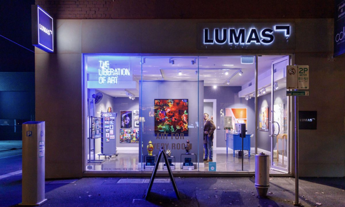 Environmental issues explored through LUMAS Gallery and Sequana Arts Grant Program