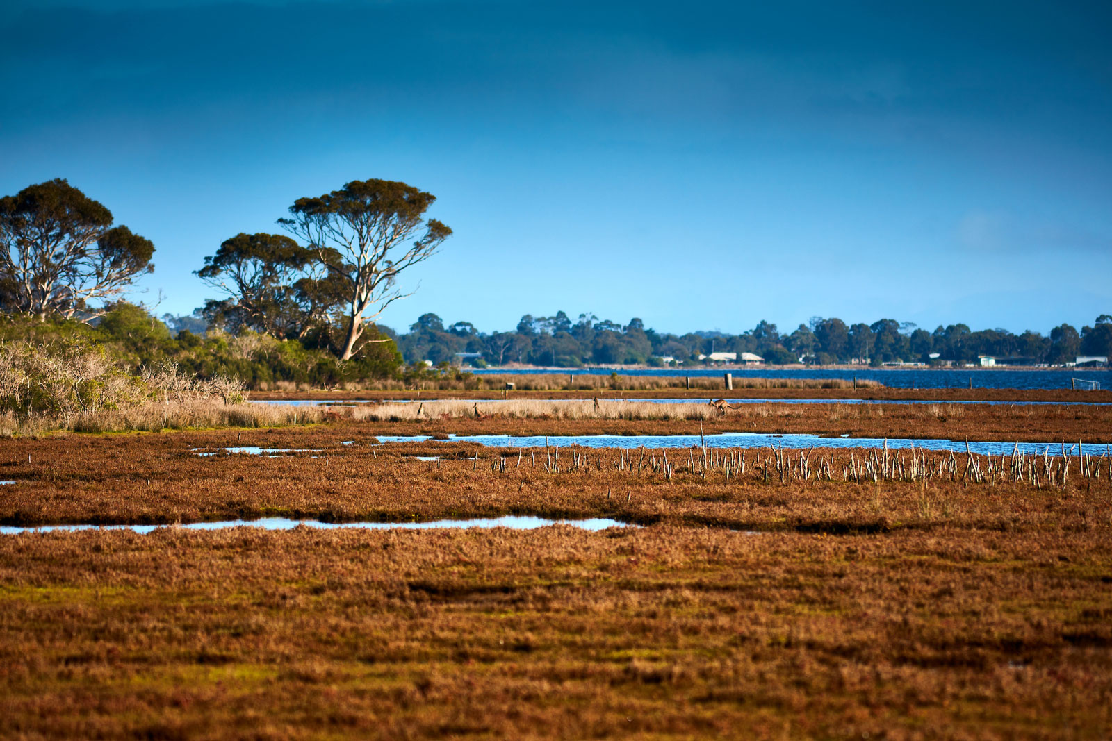 7-DEECA-Upgrade-of-Recycled-Water-Business-Case