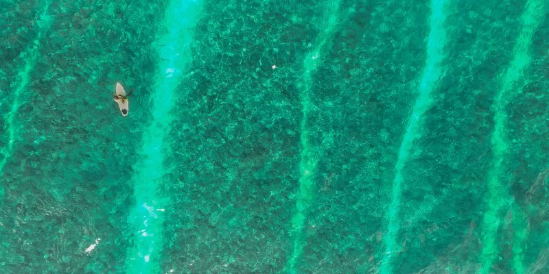 Team Stories – Cameron Geddes