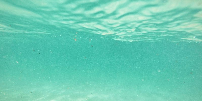 Devastating effects of bushfires explored in LUMAS Gallery and Sequana award winning application