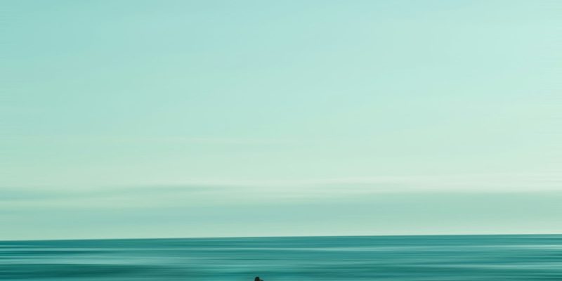 Trudi Woodward appointed as Sequana Chief Operating Officer