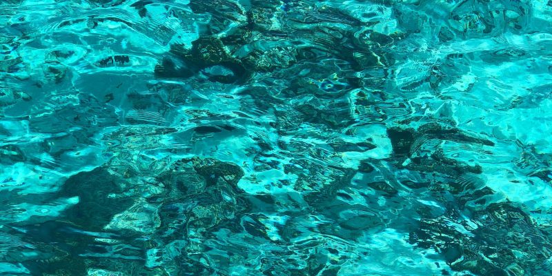 National Water Week series – David Fullerton’s story