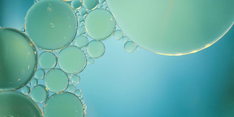 LUMAS Gallery and Sequana Arts Grant recipient wows judges with a piece that explores transformations that are occurring in our natural world due to human presence