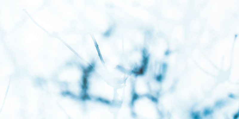 Environmental issues explored through LUMAS Gallery and Sequana Arts Grant Program