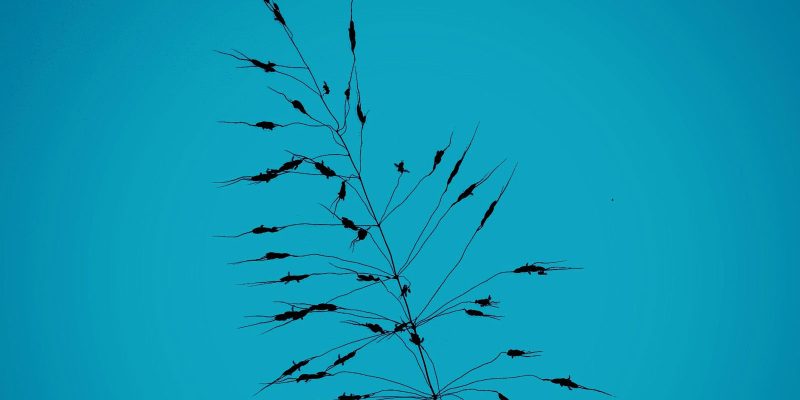 It’s just Life: From Balance to Integration – Shifting Perspectives on Work and Life