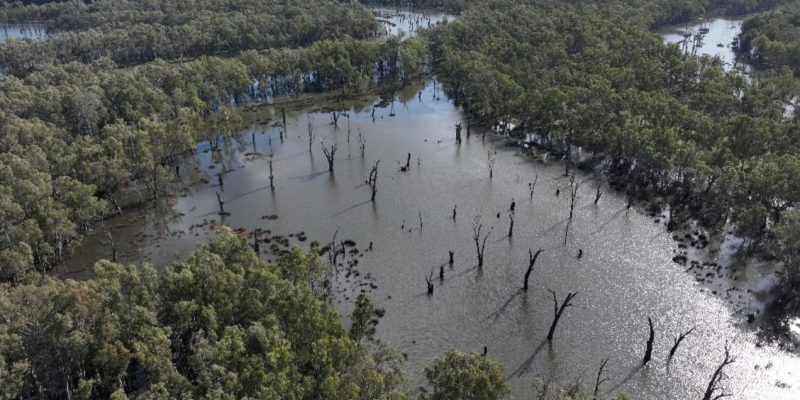 Murray-Darling-Basin-Authority- Sequana