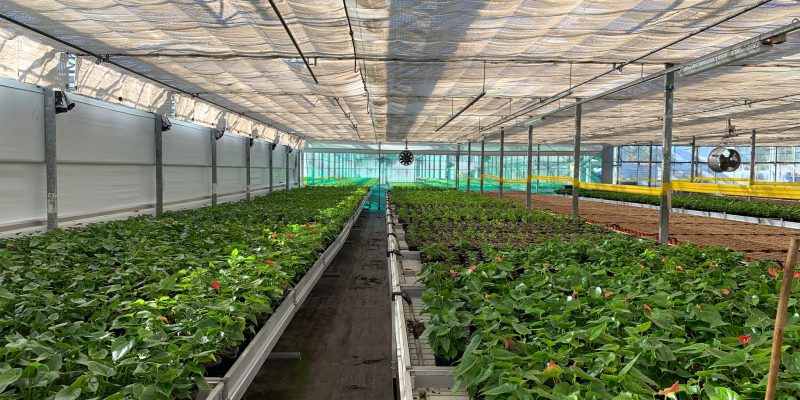 When innovative ideas tackle water-related challenges