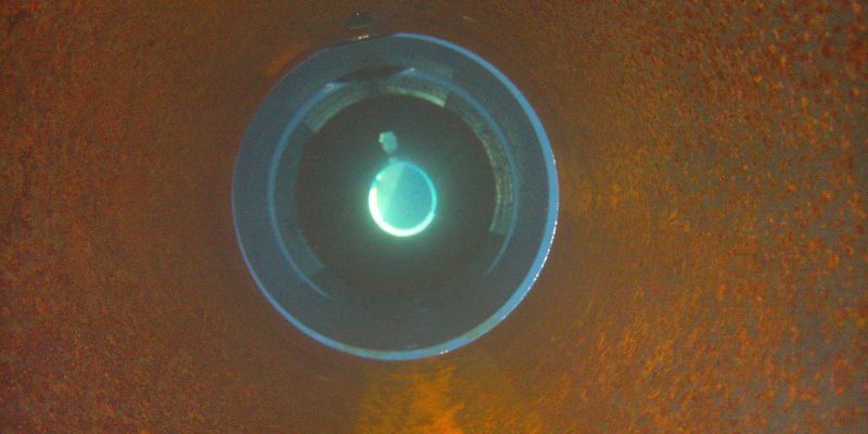 When a humble caterpillar helps solve water supply issues